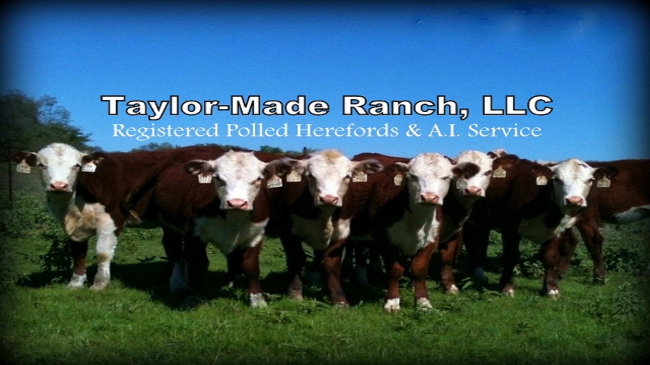 Header Image - Taylor-Made Ranch